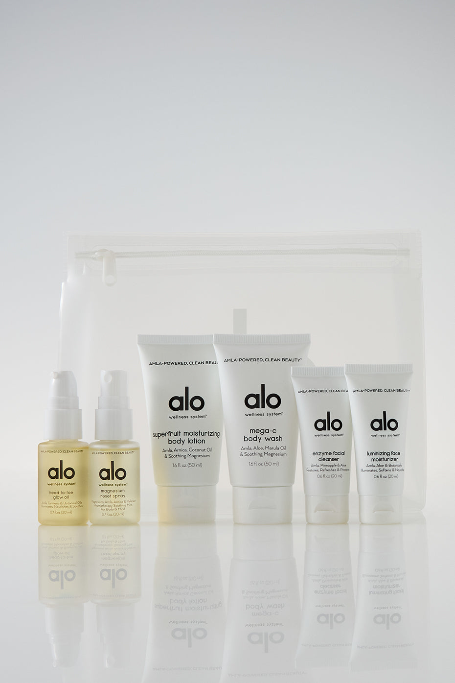 Wellness System Discovery Set